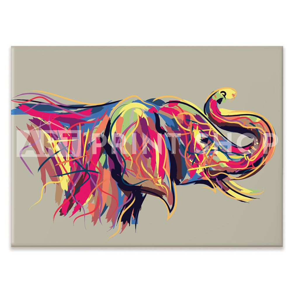 Multicoloured Elephant Canvas Print