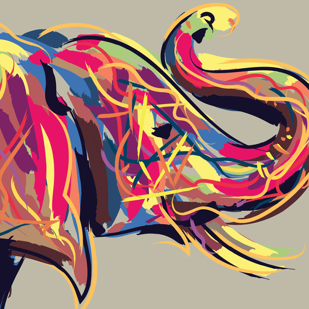 Multicoloured Elephant Canvas Print