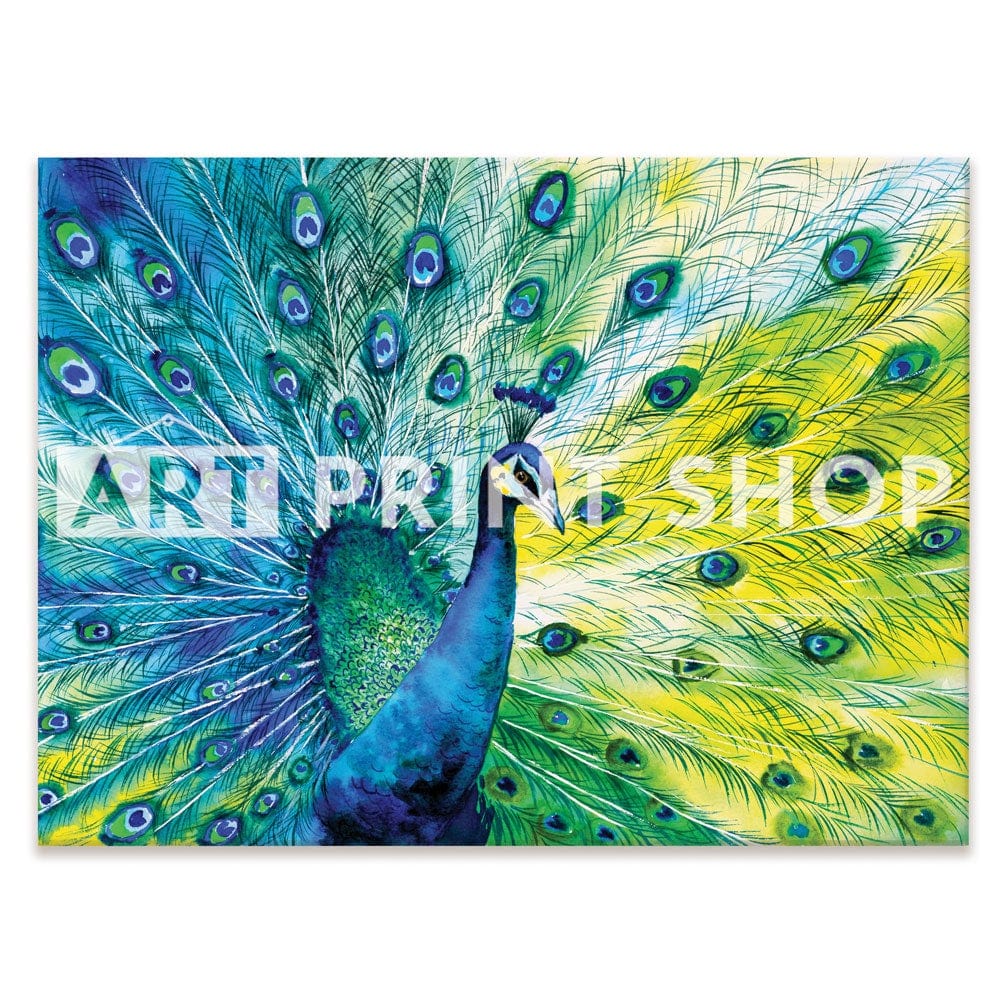 Peacock Power Canvas Print wall art product CYC / Shutterstock