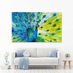 Peacock Power Canvas Print wall art product CYC / Shutterstock
