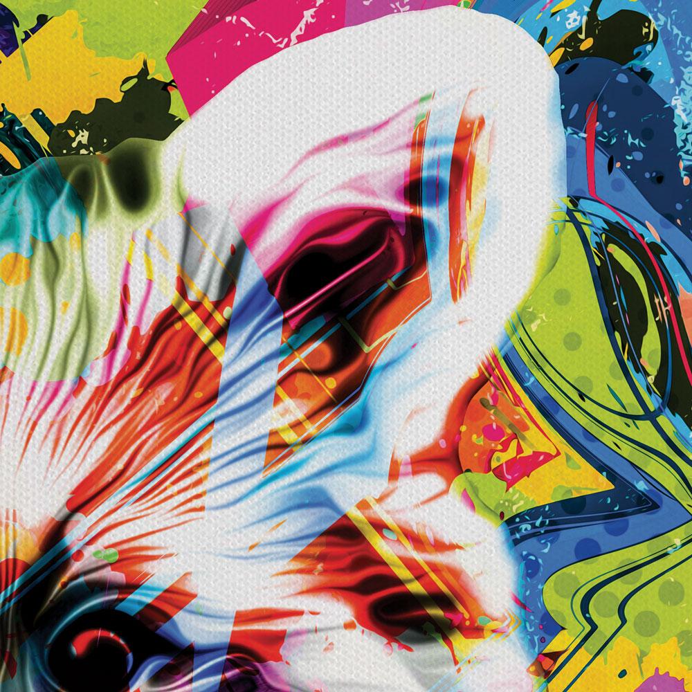 Psychedelic Raccoon Canvas Print wall art product ARTEMENKO VALENTYN / Shutterstock
