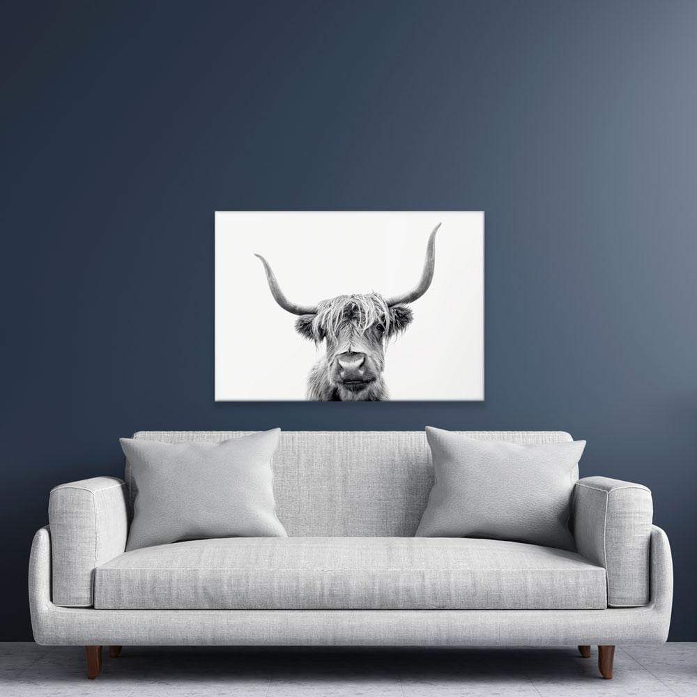 Scottish Highland Cattle Canvas Print wall art product okufner / Shutterstock