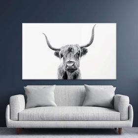 Scottish Highland Cattle Canvas Print wall art product okufner / Shutterstock