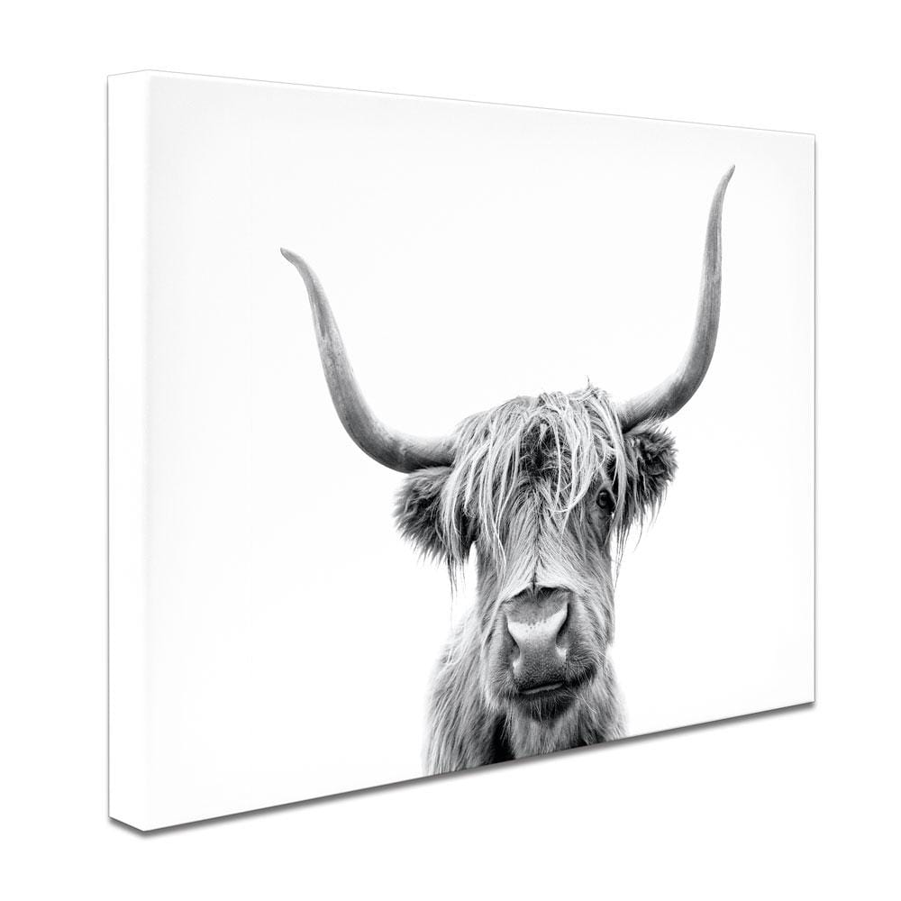 Scottish Highland Cattle Canvas Print wall art product okufner / Shutterstock