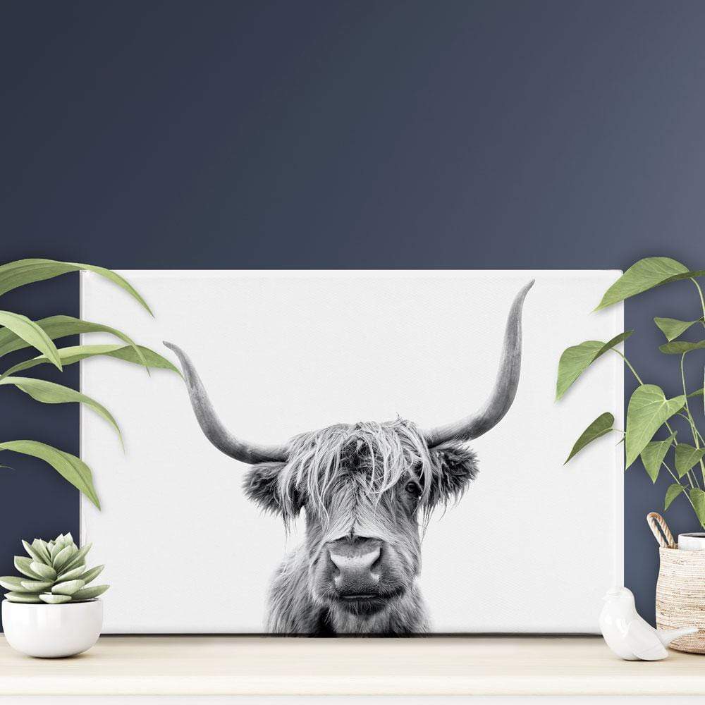 Scottish Highland Cattle Canvas Print wall art product okufner / Shutterstock