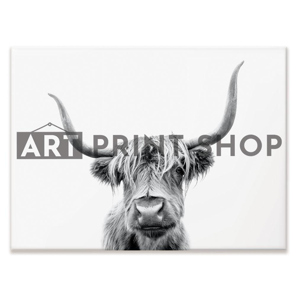 Scottish Highland Cattle Canvas Print wall art product okufner / Shutterstock