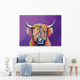 Scottish Coo Canvas Print
