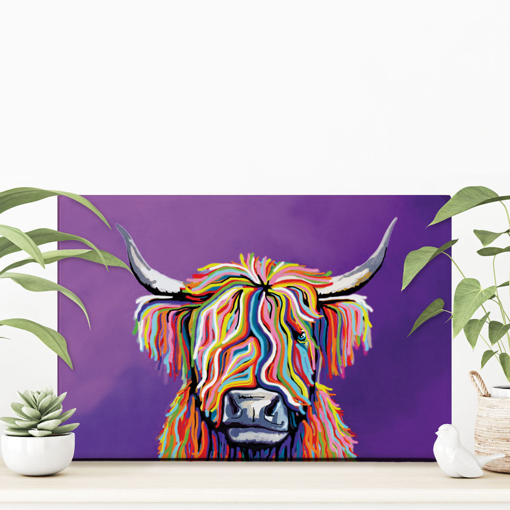 Scottish Coo Canvas Print