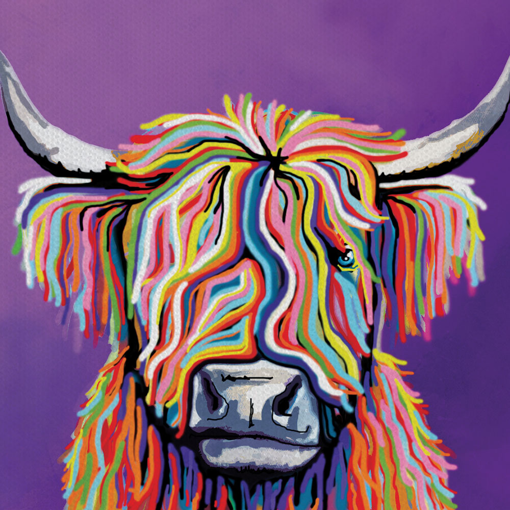 Scottish Coo Canvas Print