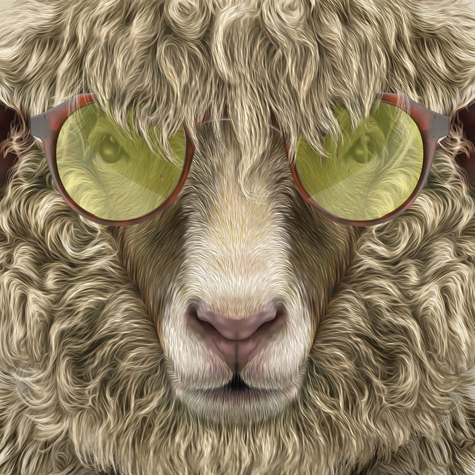 Simon Sheep Framed Art Print wall art product Fahad Tariq / Shutterstock