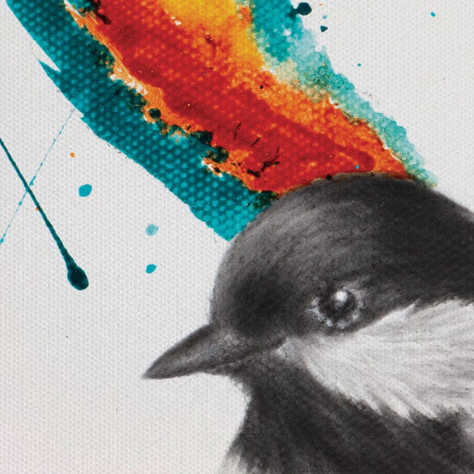 Solo Sounds Bird Canvas Print wall art product Ashvin Harrison