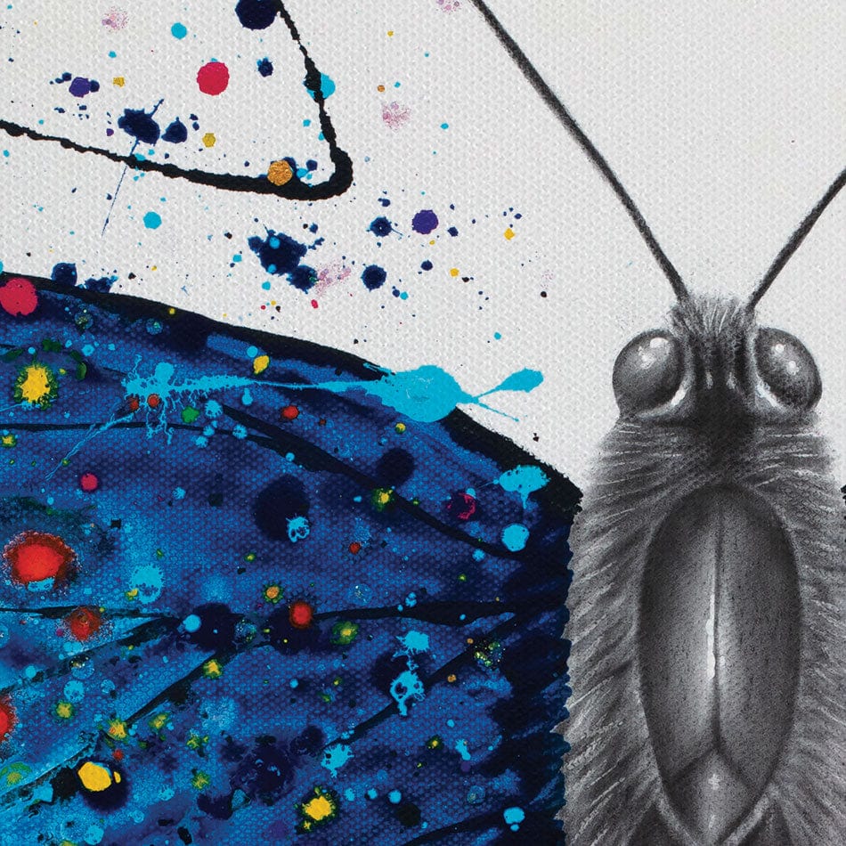 Sparkling City Butterfly Canvas Print wall art product Ashvin Harrison