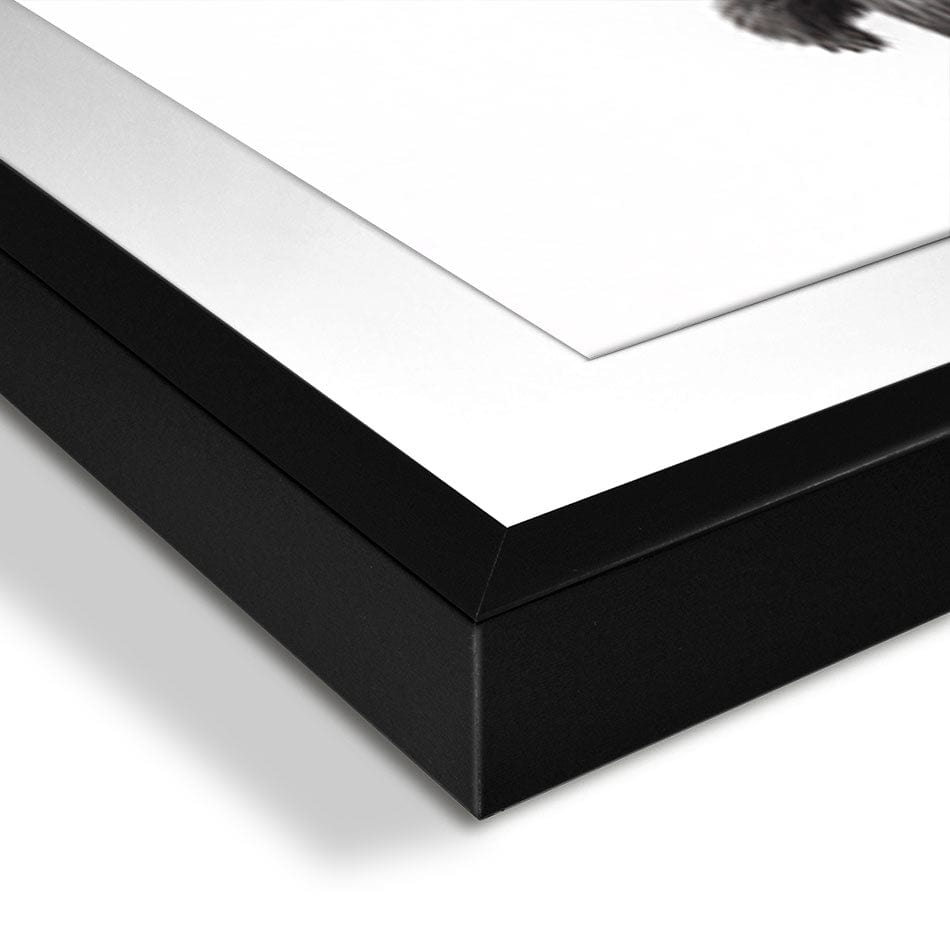 The Bear And The Balloons Framed Art Print wall art product Ashvin Harrison