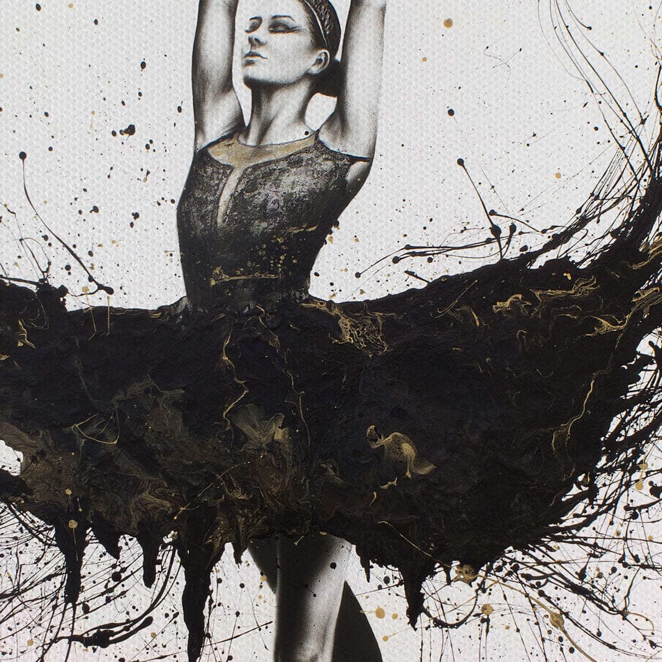 The Black And The White Swan Duo Canvas Print wall art product Ashvin Harrison