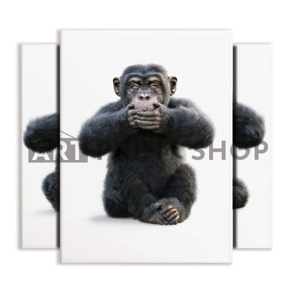 Three Wise Monkeys Trio Canvas Print wall art product Digital Storm / Shutterstock