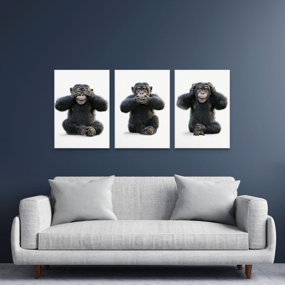 Three Wise Monkeys Trio Canvas Print wall art product Digital Storm / Shutterstock