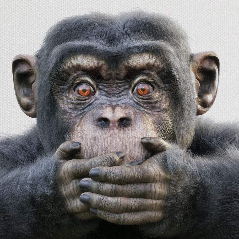 Three Wise Monkeys Trio Canvas Print wall art product Digital Storm / Shutterstock