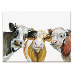 Trios Of Cows Canvas Print