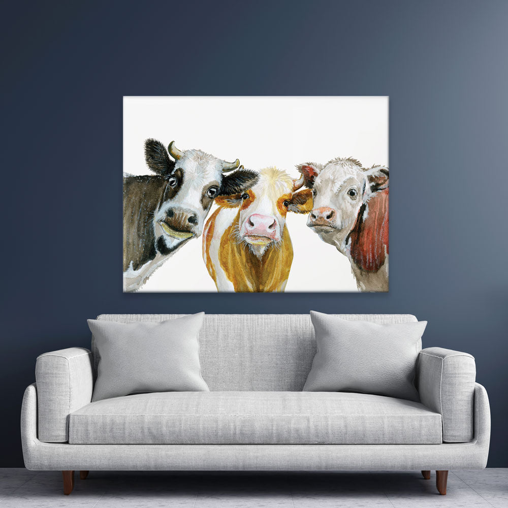 Trios Of Cows Canvas Print