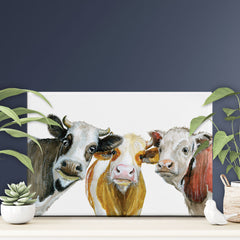 Trios Of Cows Canvas Print