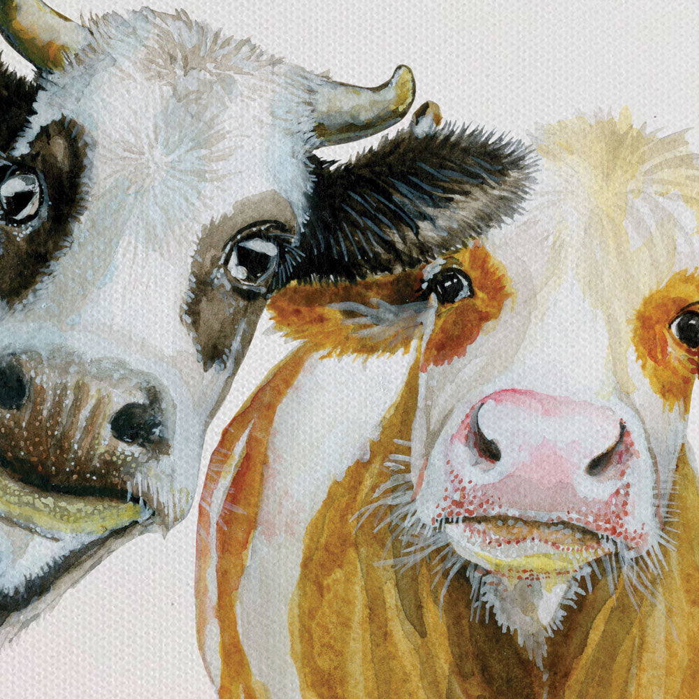 Trios Of Cows Canvas Print