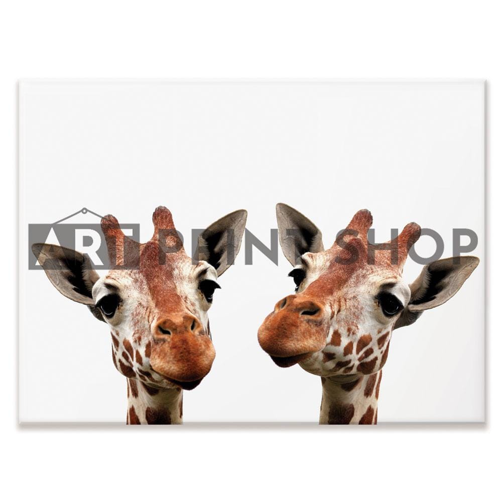 Two Giraffes Canvas Print wall art product kaczor58 / Shutterstock