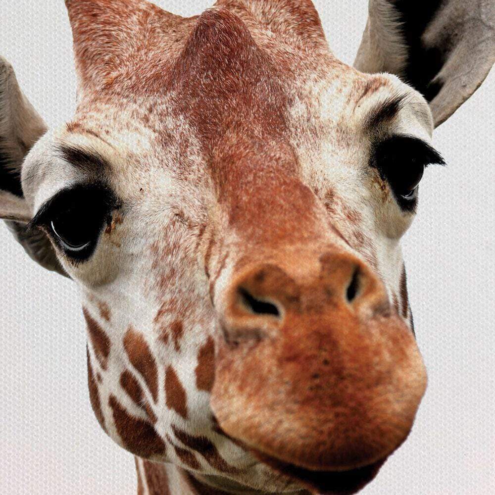 Two Giraffes Canvas Print wall art product kaczor58 / Shutterstock