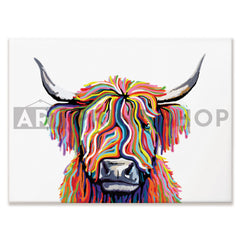 White Highland Cow Canvas Print