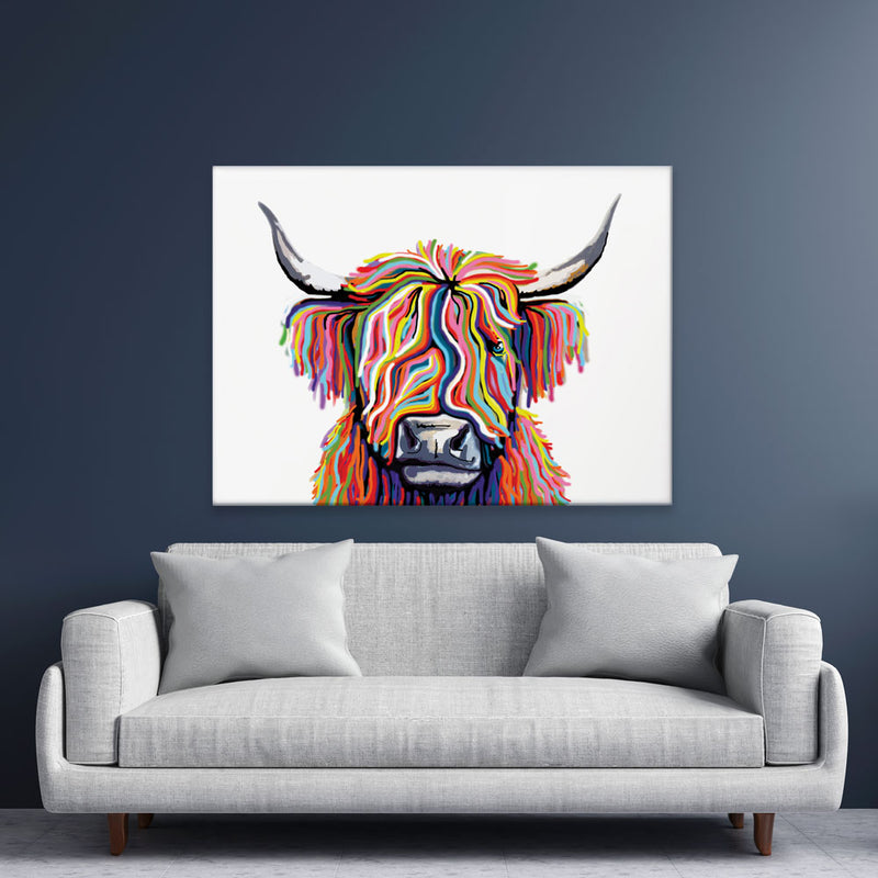 White Highland Cow Canvas Print