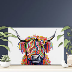 White Highland Cow Canvas Print